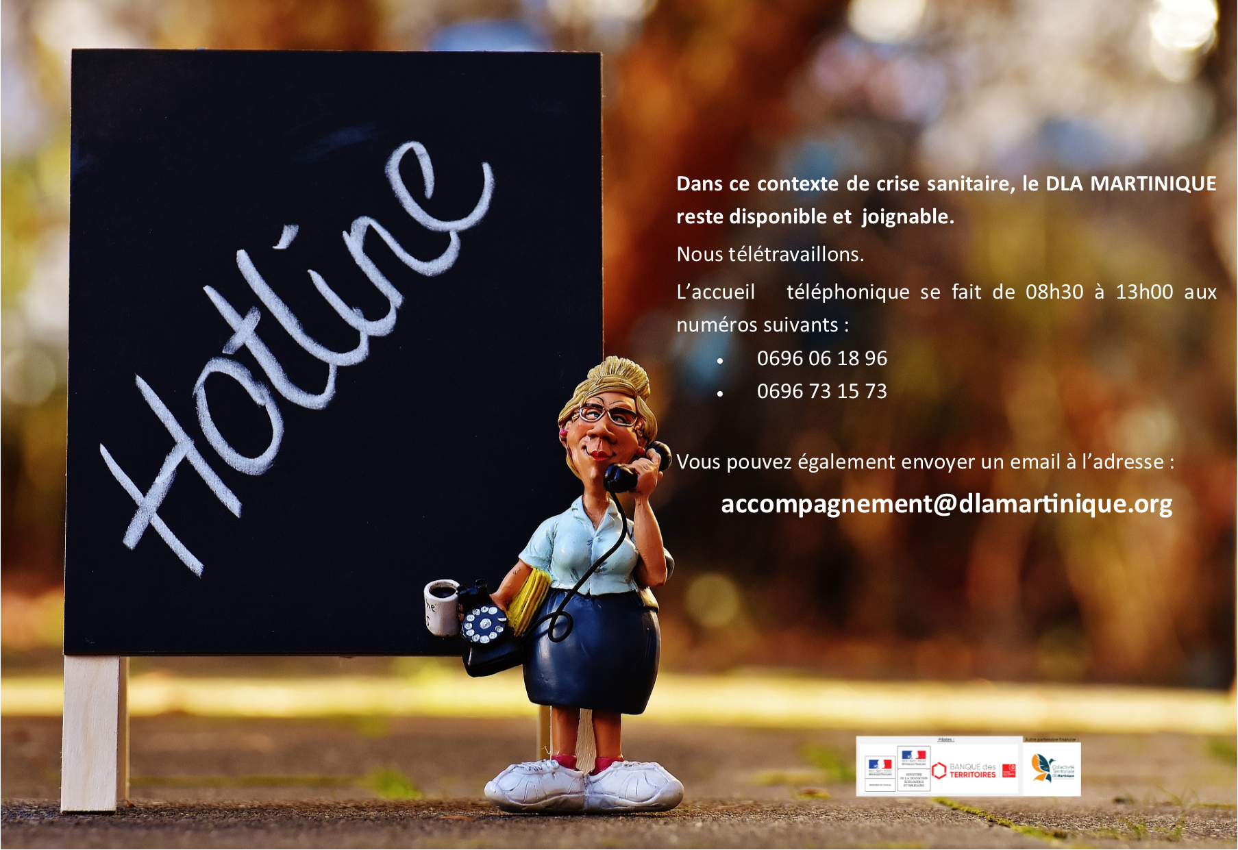 Confinement Coronavirus - Dla en ligne et joignable 03 2020-modif OE - image1